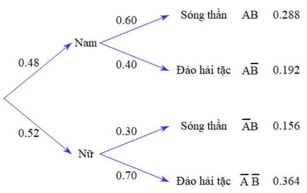 Hình minh họa câu hỏi